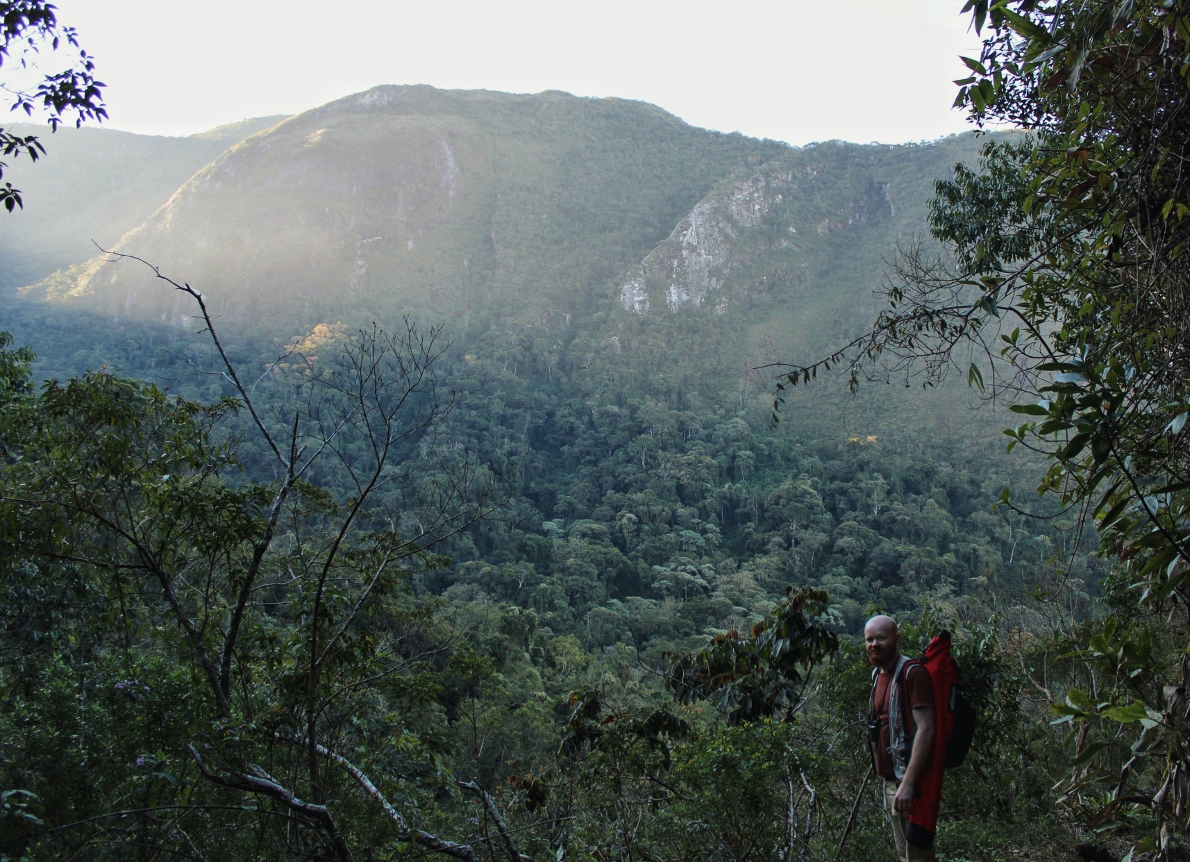 Atlantic Forest, Teresópolis, Rio de Janeiro state. Photo J. A. A. S. Maior