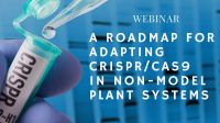 Picture 0 for A Roadmap for Adapting CRISPR/Cas9 in Non-model Plant Systems